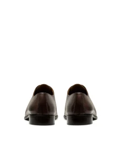 Richelieu DARIO Marron