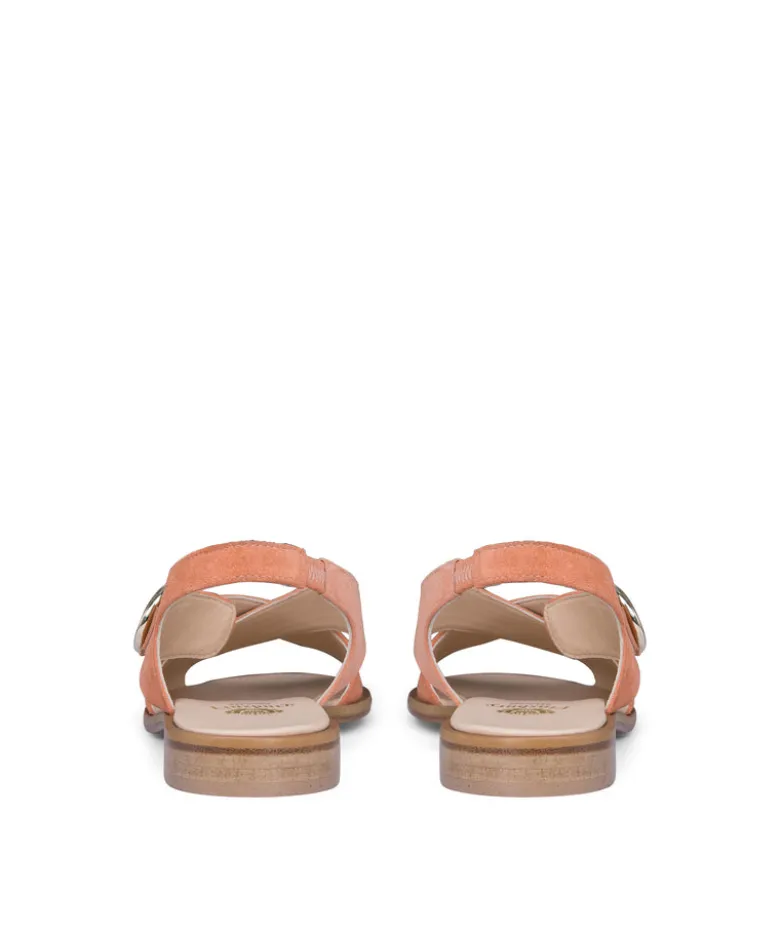 Sandales COLETTE Pêche
