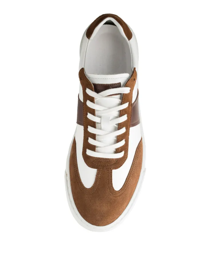 Sneakers LEO Blanc et Marron