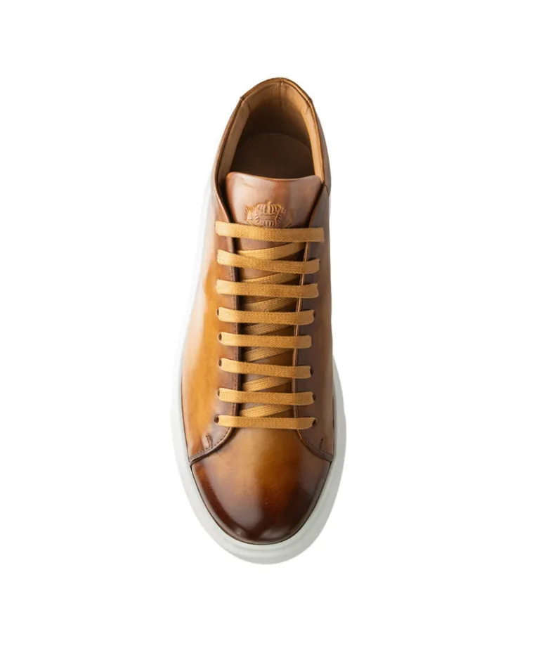 Sneakers Montante MODENA Gold
